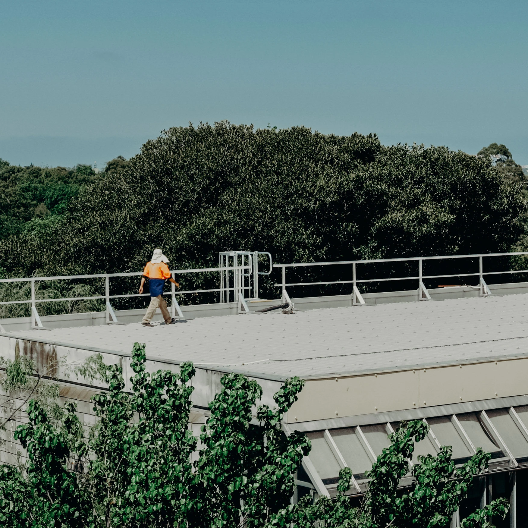 Roof Handrail Melbourne
