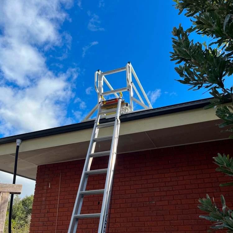 Attic Ladder